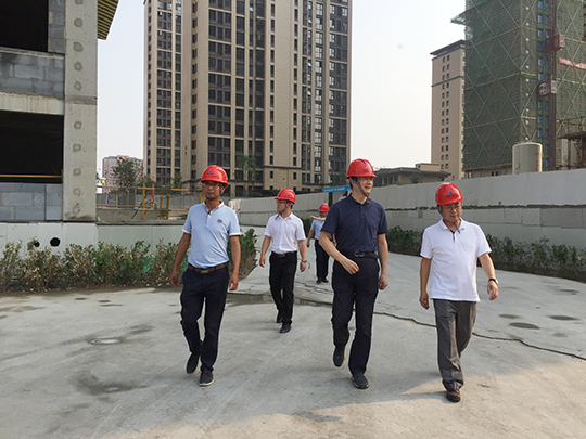LD（中国）一站式服务平台董事长黄道元陪同千处长察看施工现场