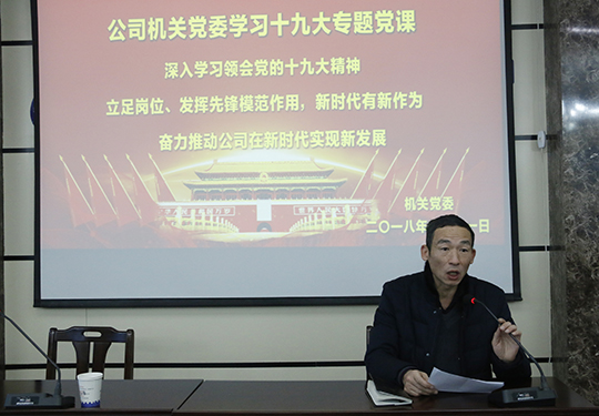 LD（中国）一站式服务平台党委副书记、机关党委书记陈百斌主持会议