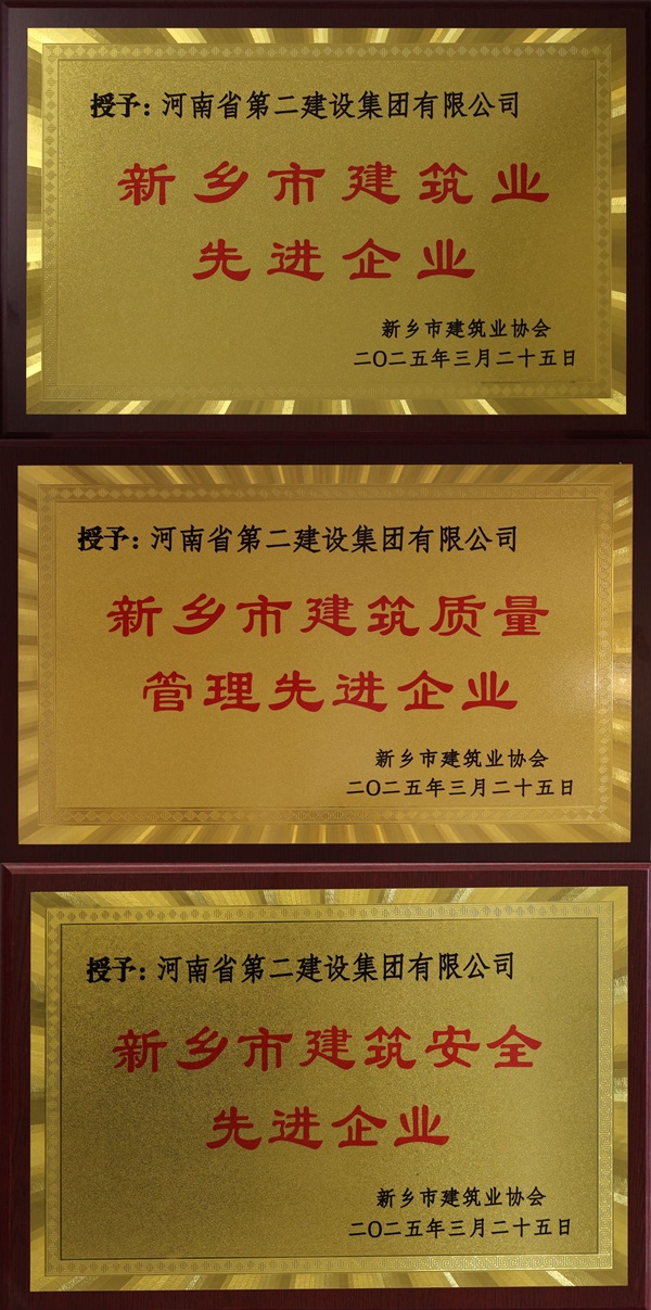 LD（中国）一站式服务平台奖牌拼图.jpg